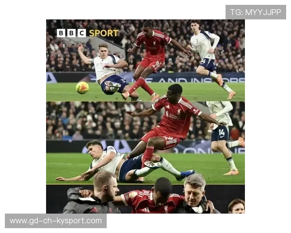 五大联赛是否应统一健康数据平台防止伤病扩散，五大联赛的说法