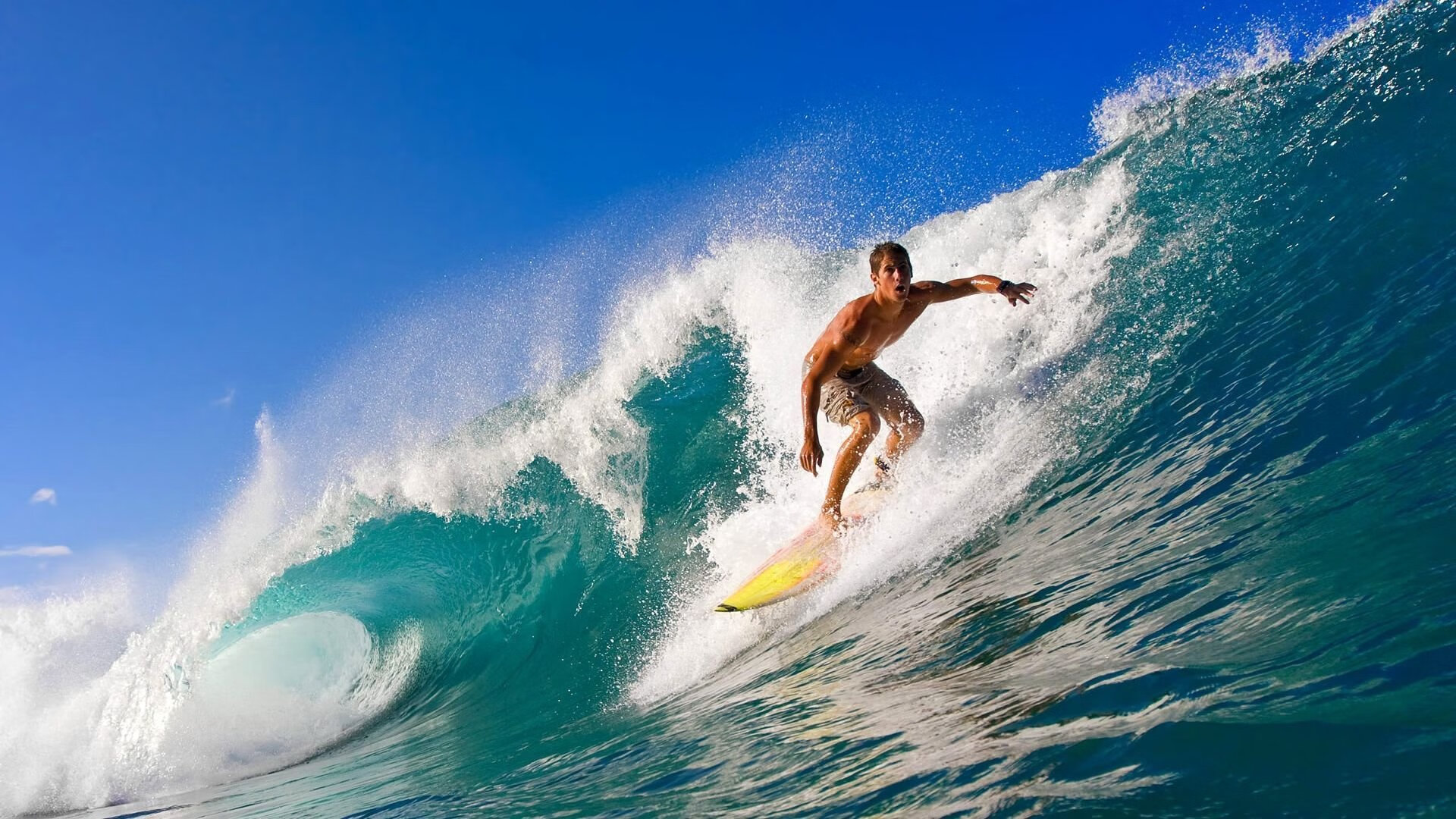 “安赫尔·巴尔博萨的力量与敏捷结合,成为美洲狮队的进攻突破点”